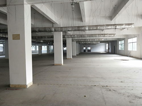 深圳厂房出租指南｜选择优质厂房把握产业升级机遇